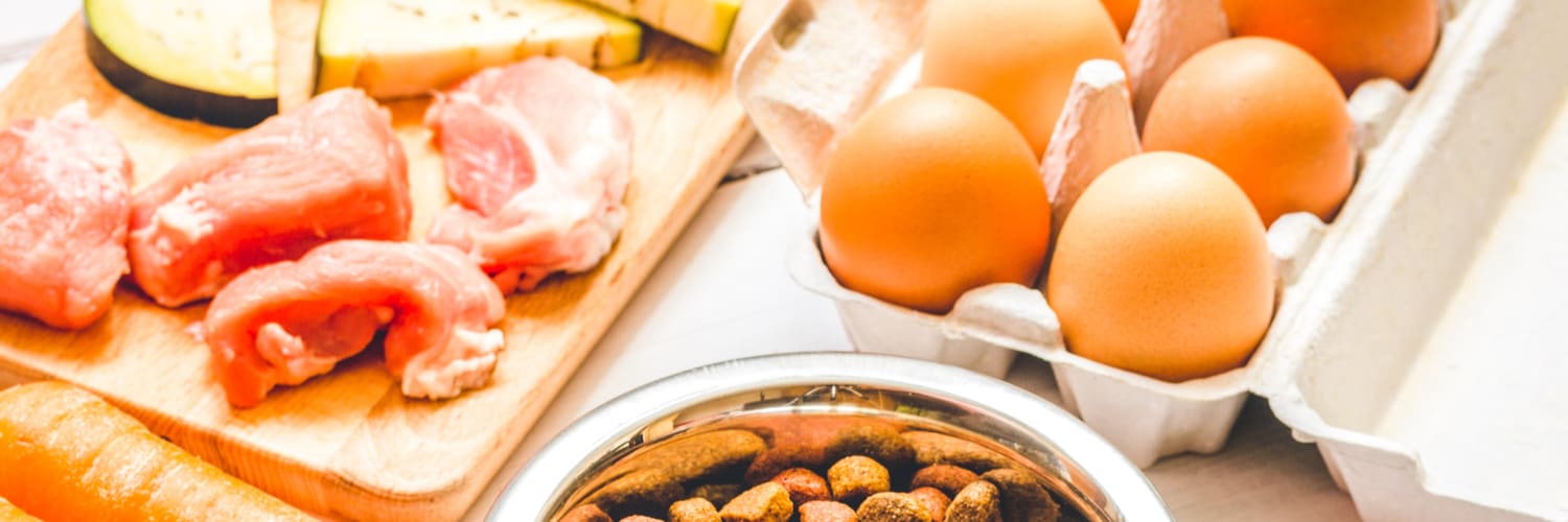 Best Pet Food Store Dallas TX