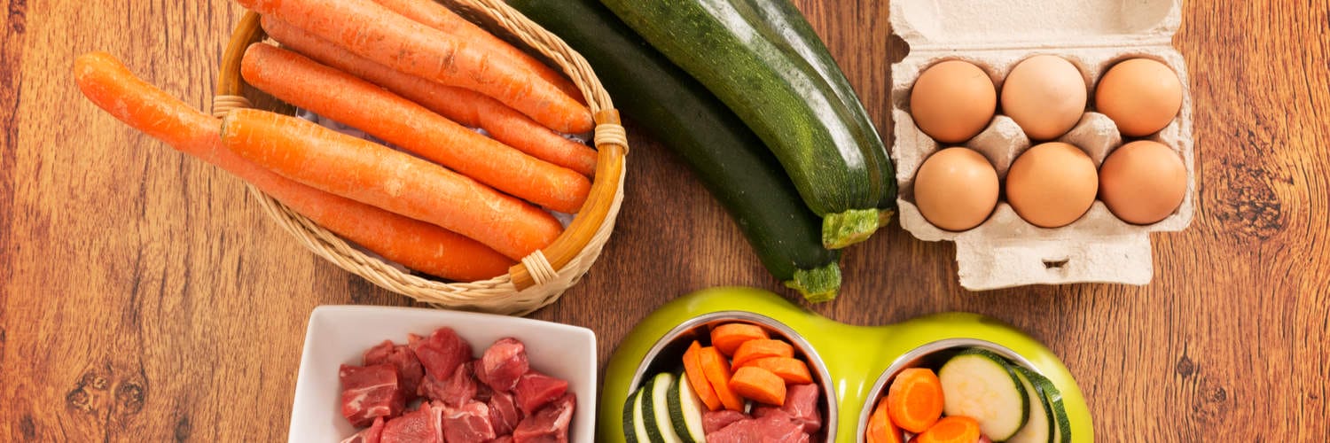 Natural Pet Food Dallas TX